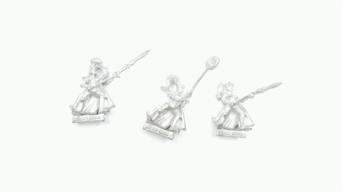 High Elf Maidenguard